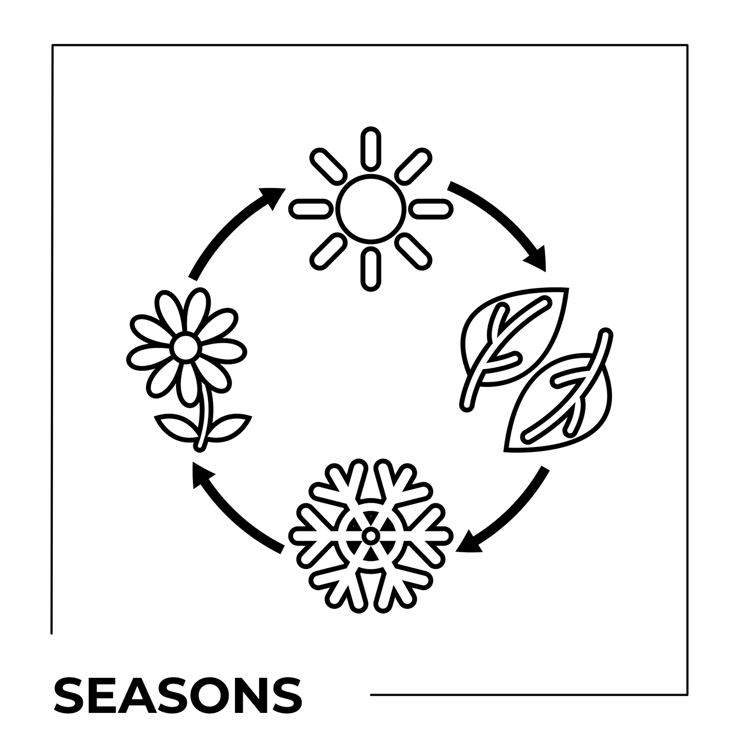 Seasons